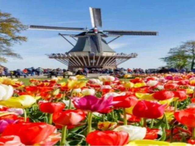 Keukenhof Gardens