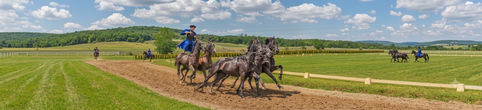 Hungarian Horseman Show