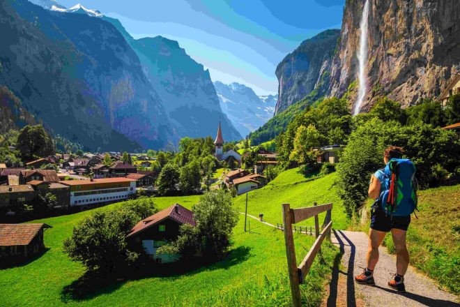 Swiss Delight